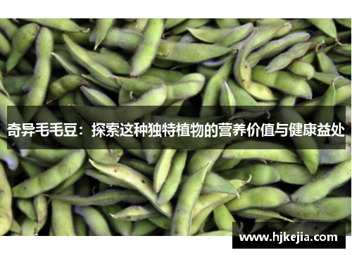 奇异毛毛豆：探索这种独特植物的营养价值与健康益处
